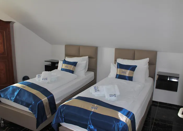 Sofia Hotel 3*