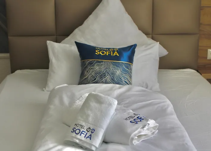 Hotel Sofia 3*