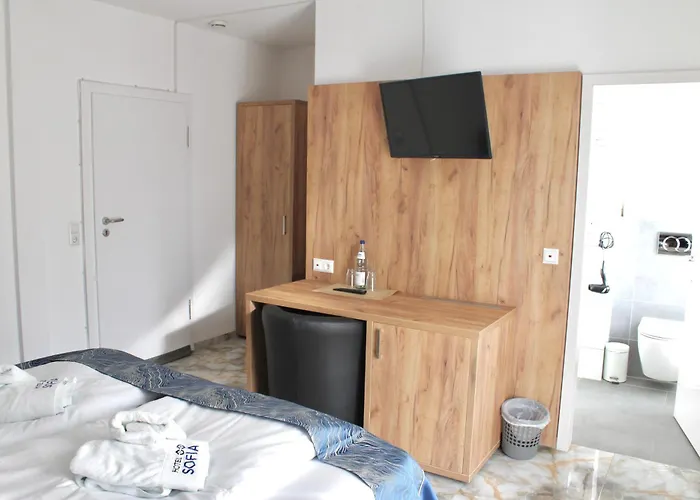 Hotel Sofia 3*